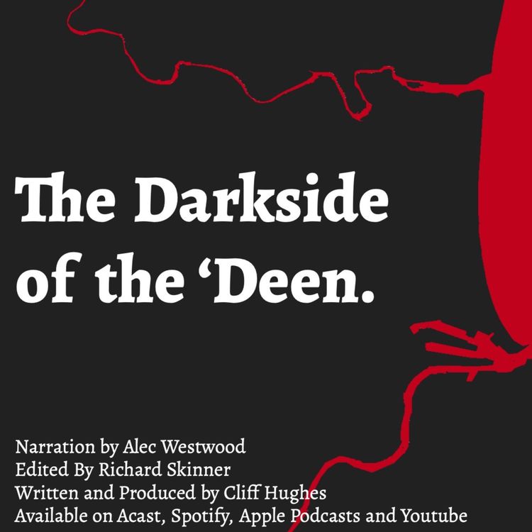 cover art for The Deen's Dark Doctor