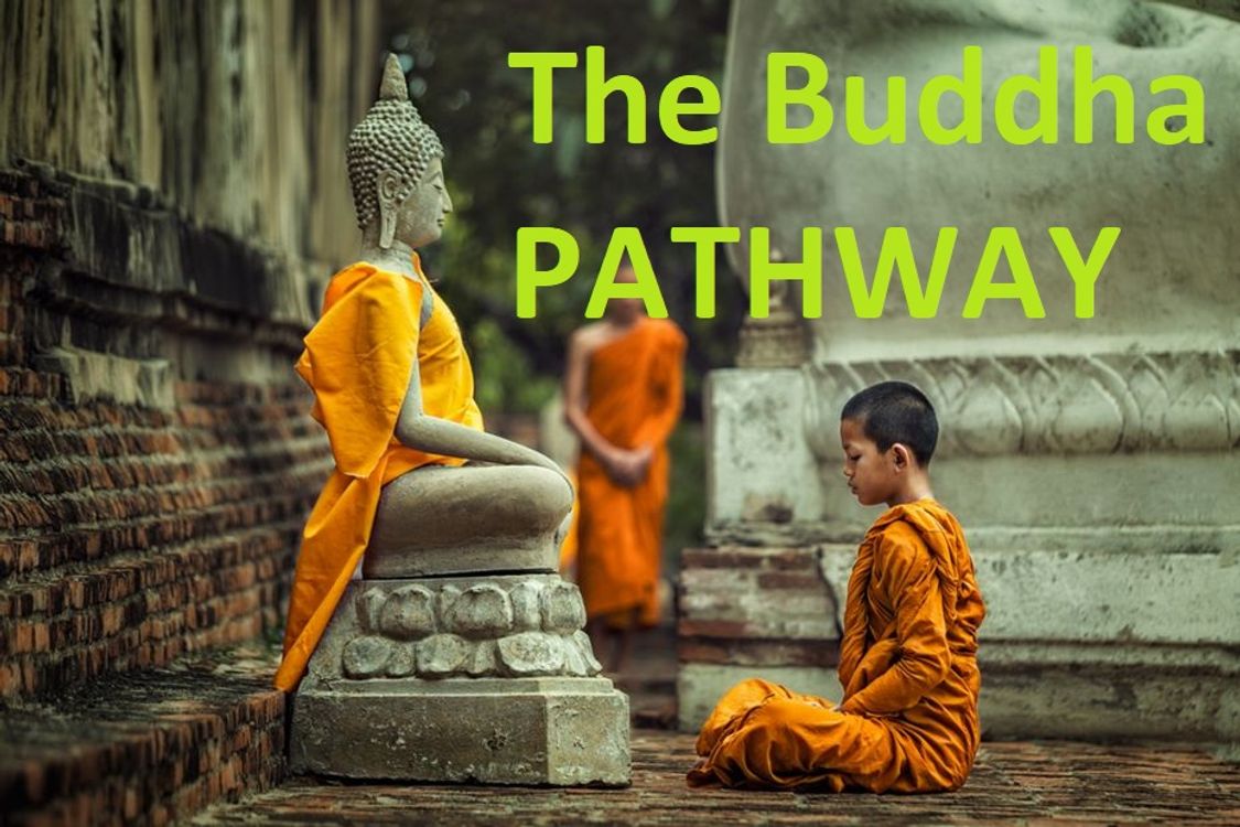 cover art for The Buddha Path - Healing and Transformation