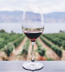 cover art for Viva el Vino!