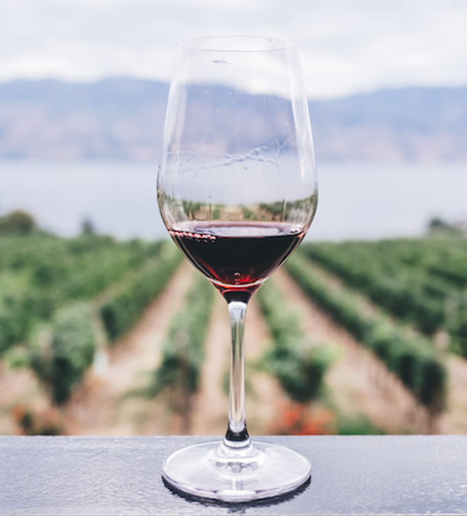 cover art for Viva el Vino! 1. La uva Chardonnay.