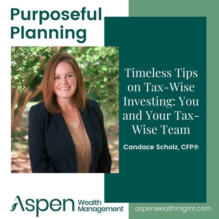 cover art for Tax-Wise Investing Tips: You & Your Tax-Wise Team, Part 1