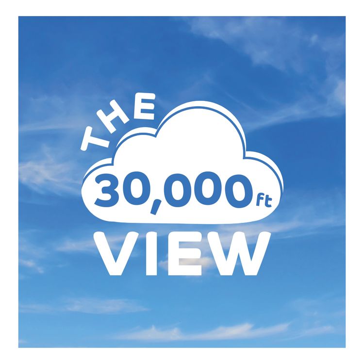 cover art for The 30,000ft View | Susan Hallam MBE