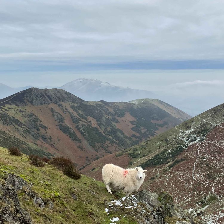 cover art for Long Mynd Valleys Preview with Nic Barber