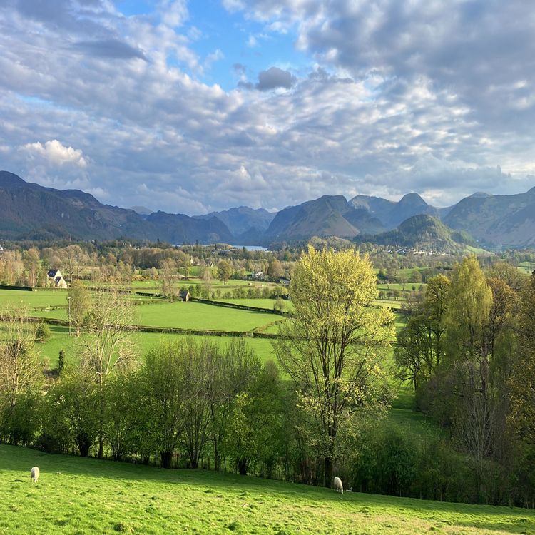 cover art for On The Bob Foot - One Episode a week they said...