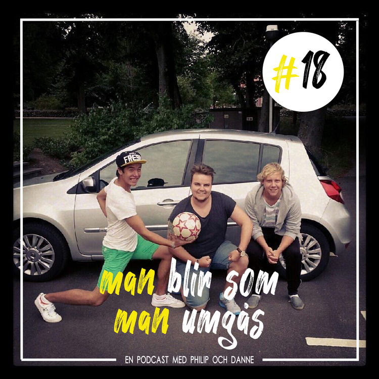 cover art for #18 - De tre musketörerna