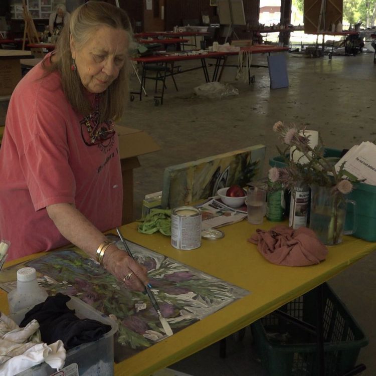 cover art for Art of the Colony