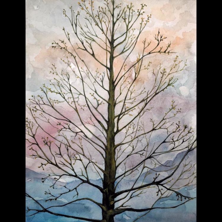 cover art for Failure from the perspective of an American student