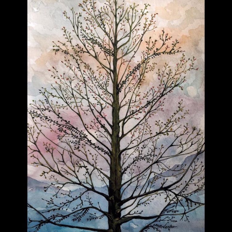 cover art for A journey towards self-acceptance and self-forgiveness 