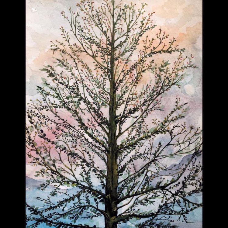 cover art for Embracing failure: a lifelong practice