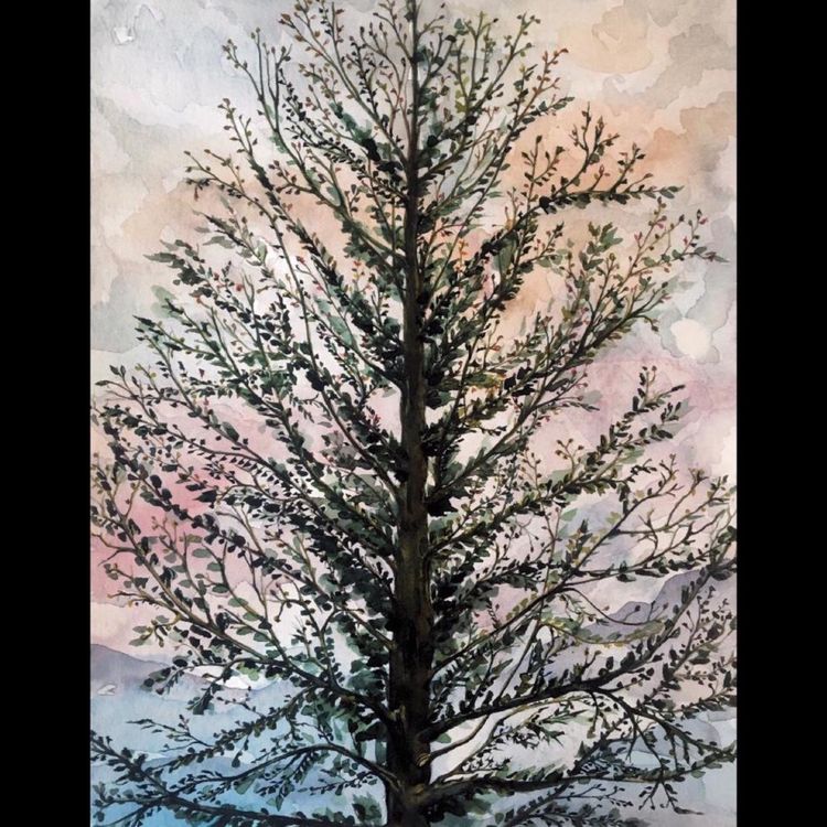 cover art for Experiencing failure as a "top" student