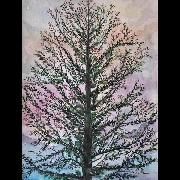 cover art for Concluding Episode