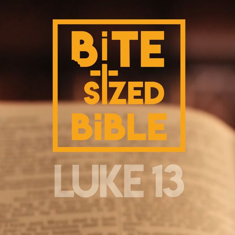 cover art for Luke Chapter 13 - Bite-Sized Audio Bible Reading