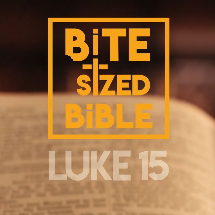 cover art for Luke Chapter 15 - Bite-Sized Audio Bible Reading