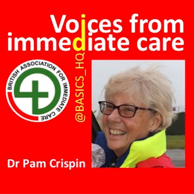 cover art for An interview with Dr Pam Crispin