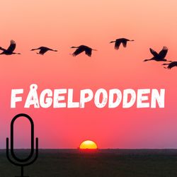 cover art for Fågelpodden 