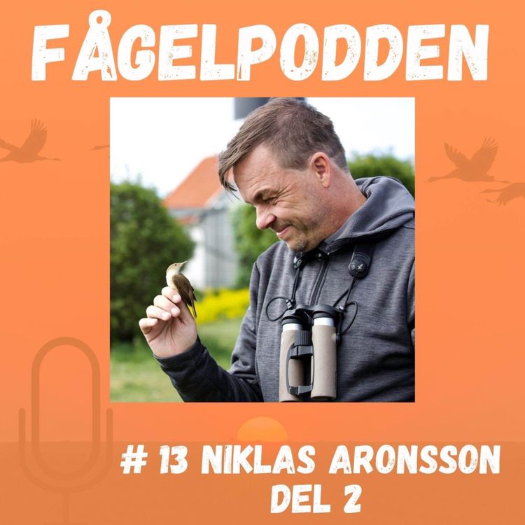 cover art for Niklas Aronsson Del 2
