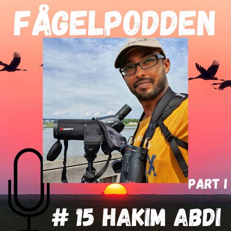 cover art for Hakim Abdi Part 1