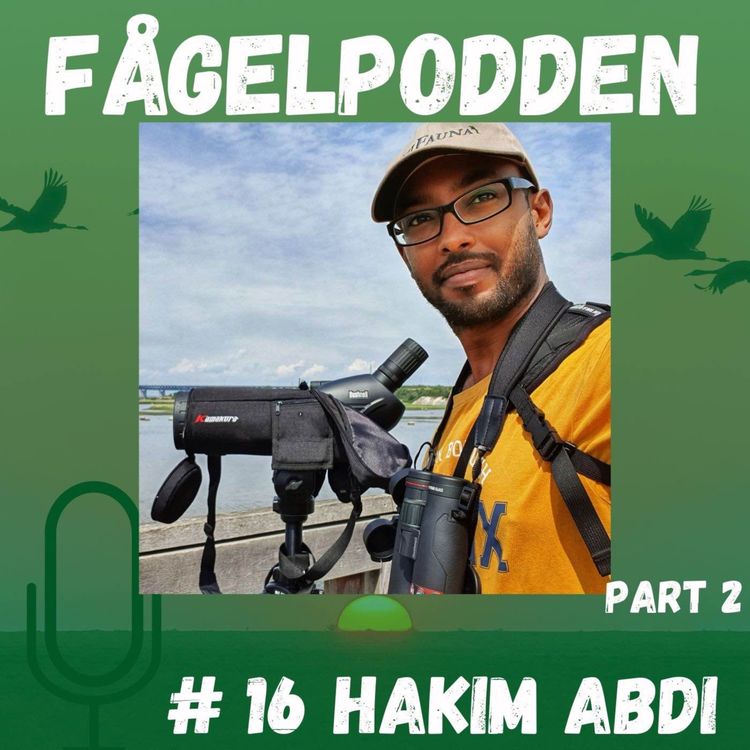 cover art for Hakim Abdi Part 2