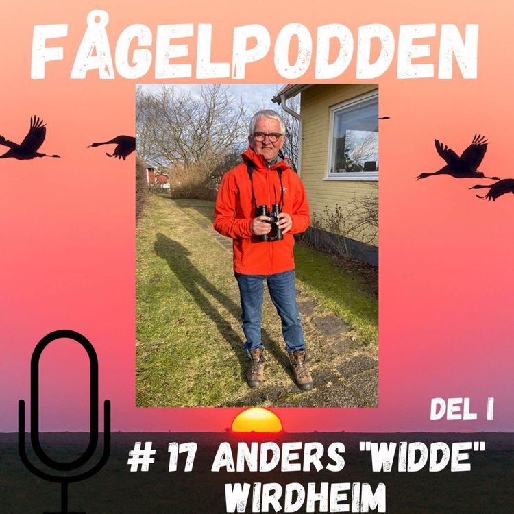 cover art for Anders "Widde" Wirdheim Del 1