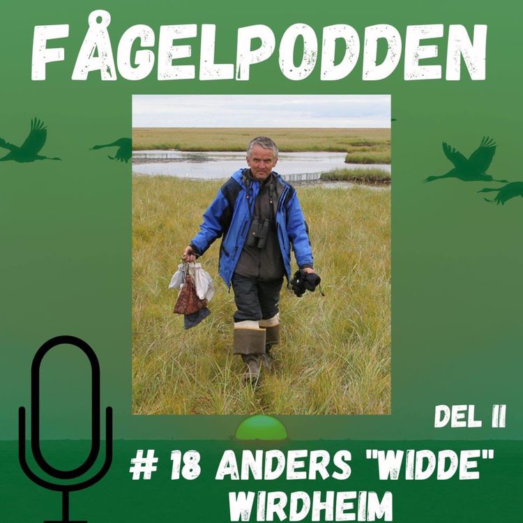 cover art for Anders "Widde" Wirdheim Del 2