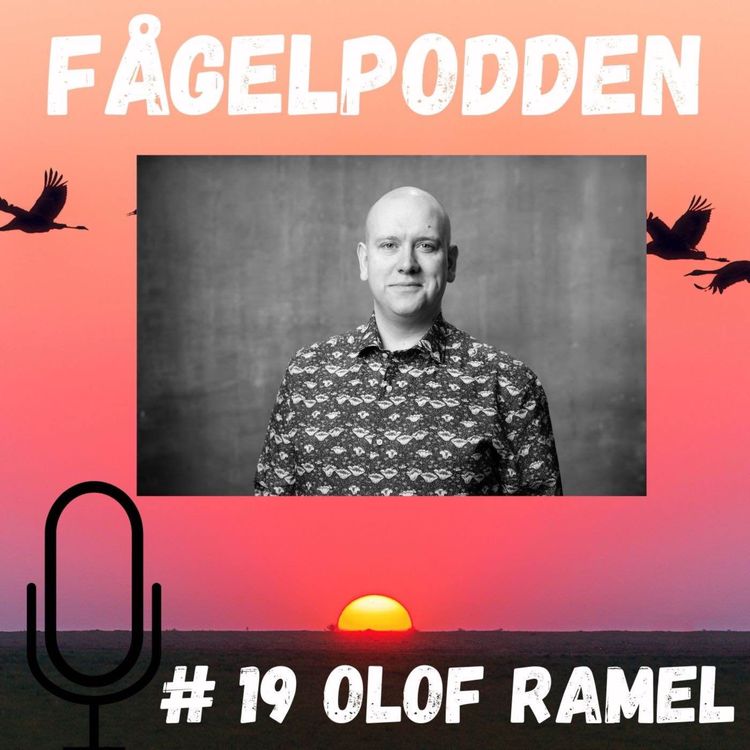 cover art for Olof Ramel 