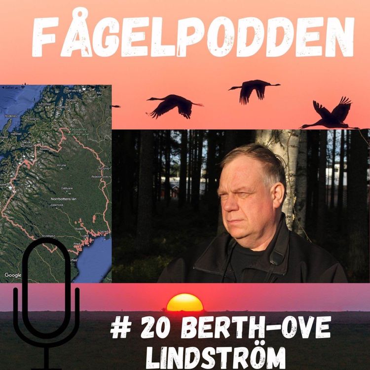 cover art for Berth-Ove Lindström Del 1