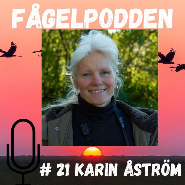 cover art for Karin Åström