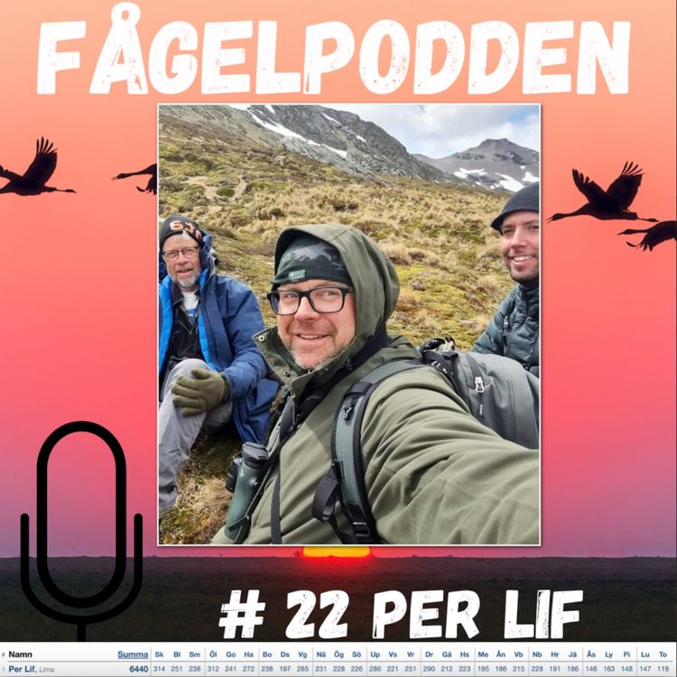 cover art for Per Lif
