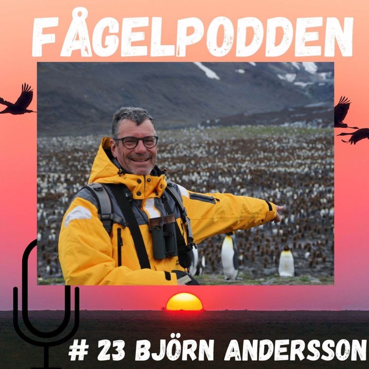 cover art for Björn Andersson