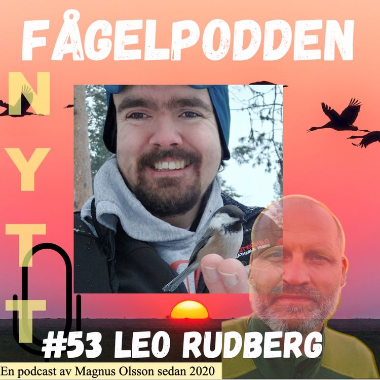 cover art for Leo Rudberg