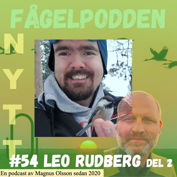 cover art for Leo Rudberg Del 2