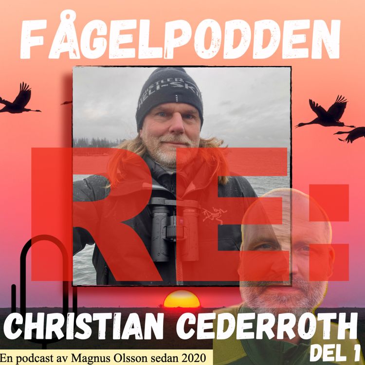 cover art for Re: Christian Cederroth Del 1