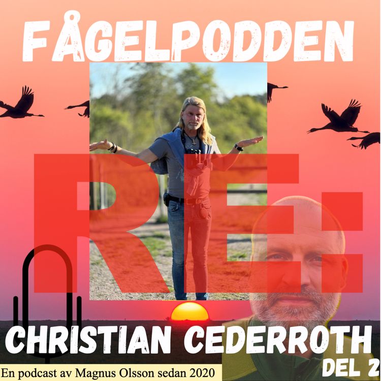 cover art for Christian Cederroth Del 2
