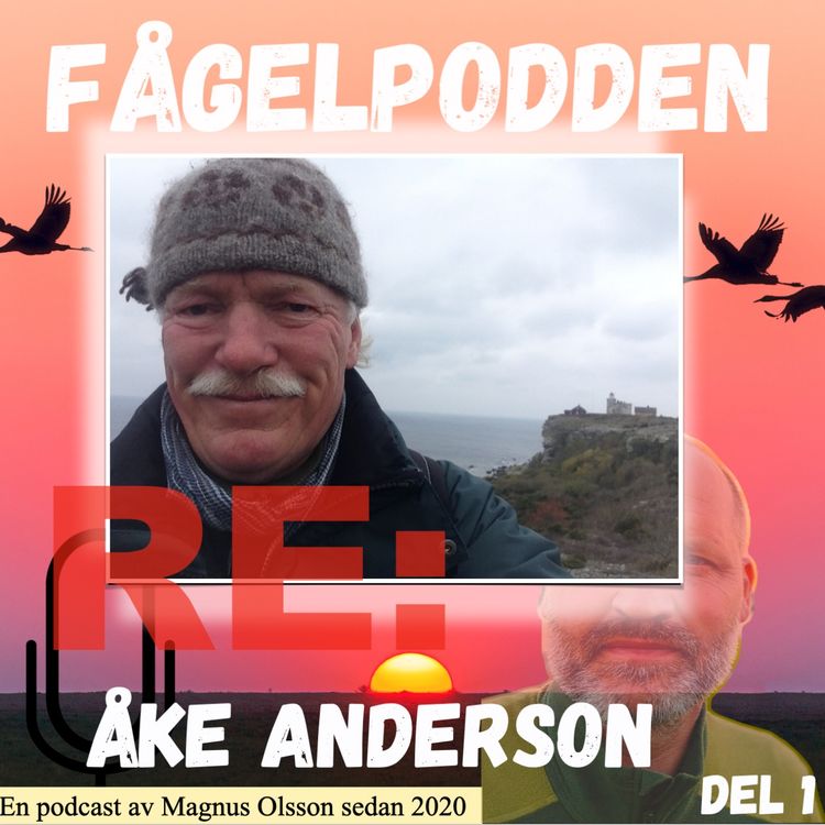 cover art for Re: Åke Anderson Del 1