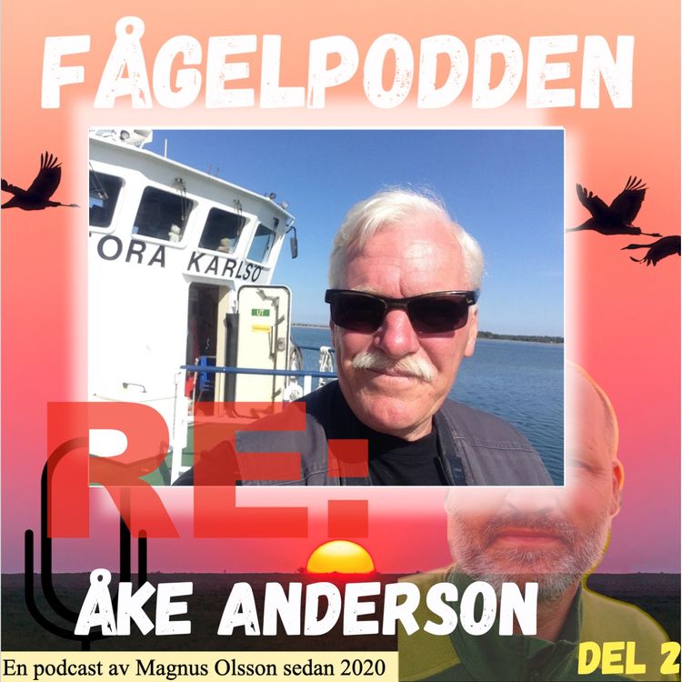 cover art for Re: Åke Anderson Del 2