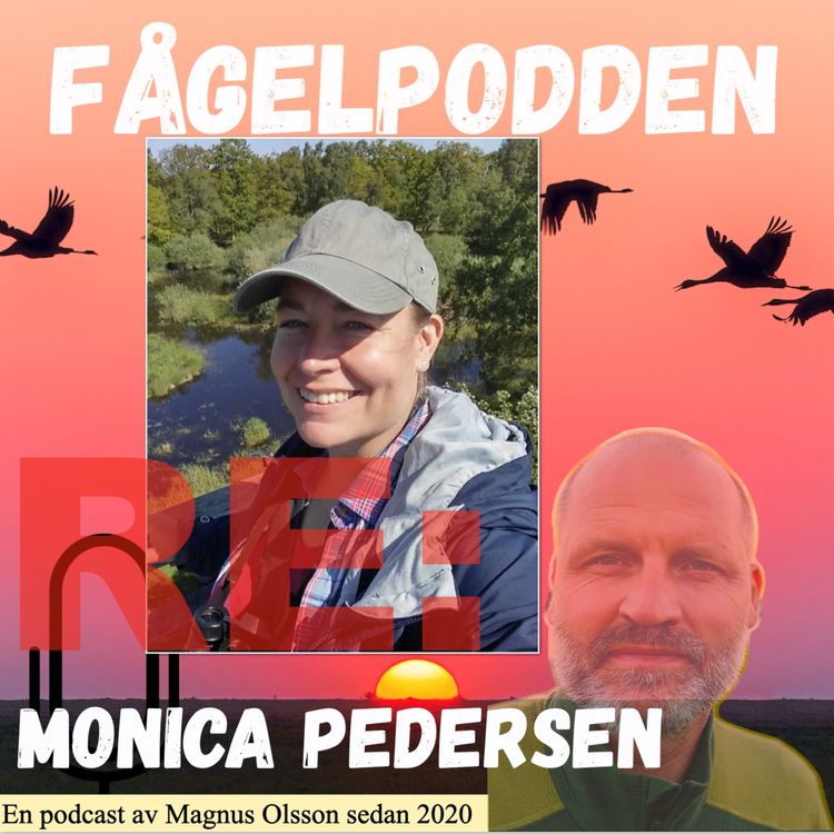 cover art for Re: Monica Pedersen