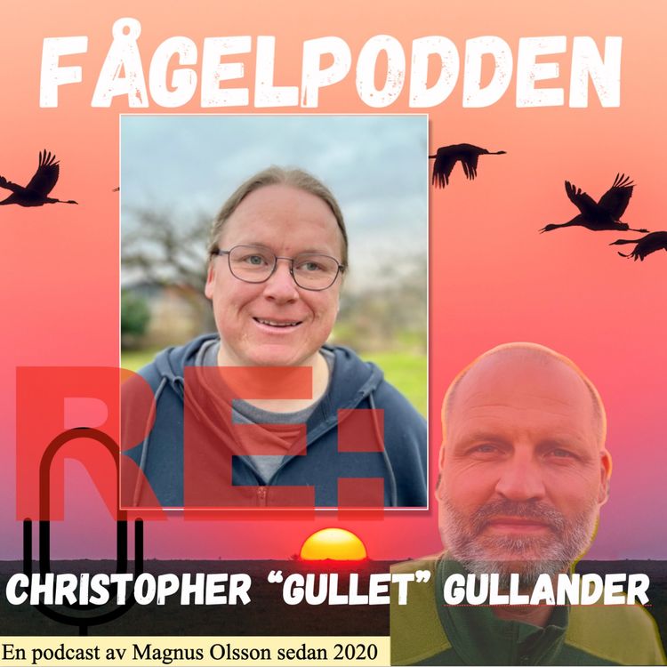 cover art for Re: Christopher “Gullet” Gullander