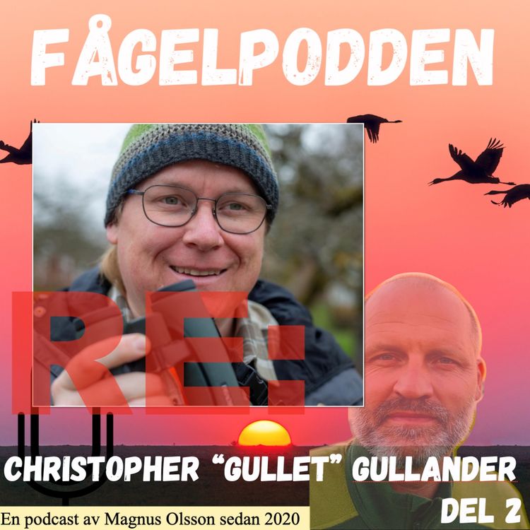 cover art for Re: Christopher “Gullet” Gullander Del 2