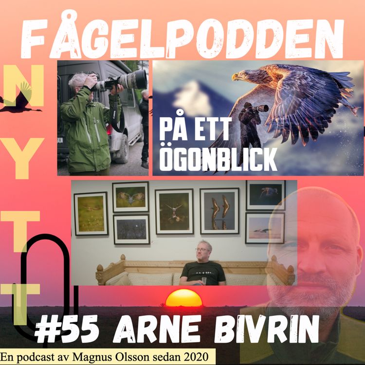 cover art for Arne Bivrin