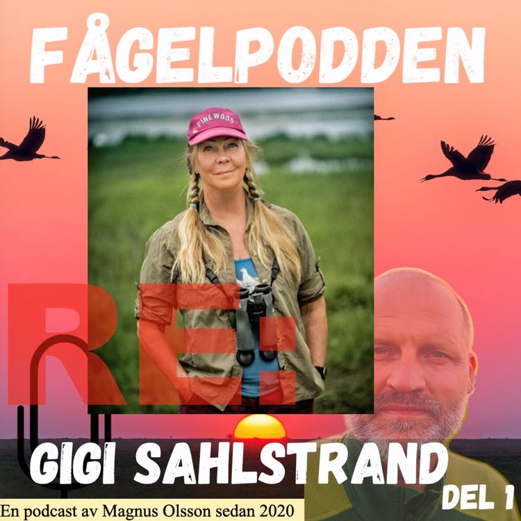 cover art for Re: Gigi Sahlstrand Del 1