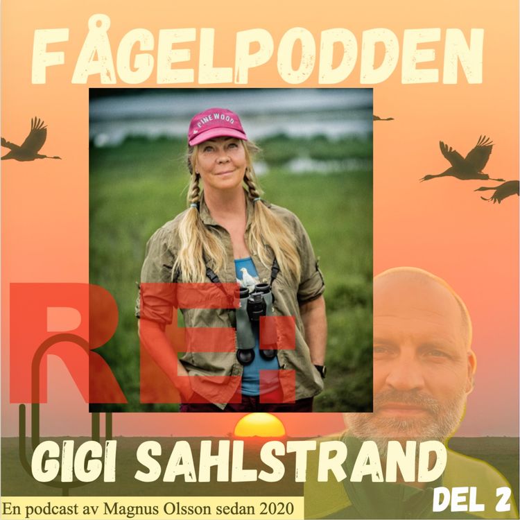 cover art for Re: Gigi Sahlstrand Del 2