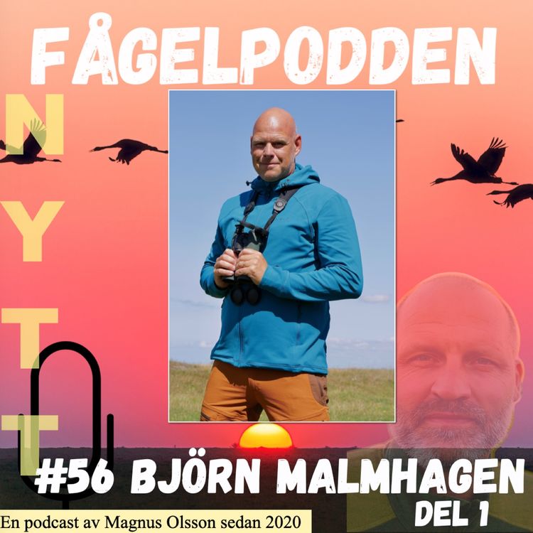 cover art for Björn Malmhagen