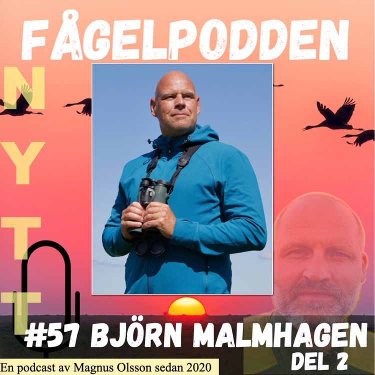 cover art for Björn Malmhagen Del 2