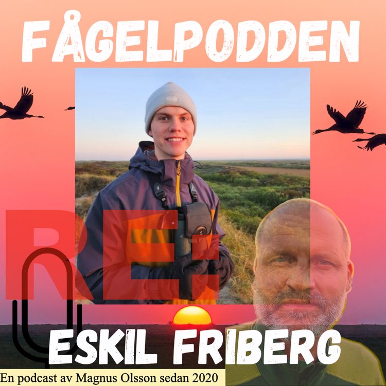cover art for Re: Eskil Friberg