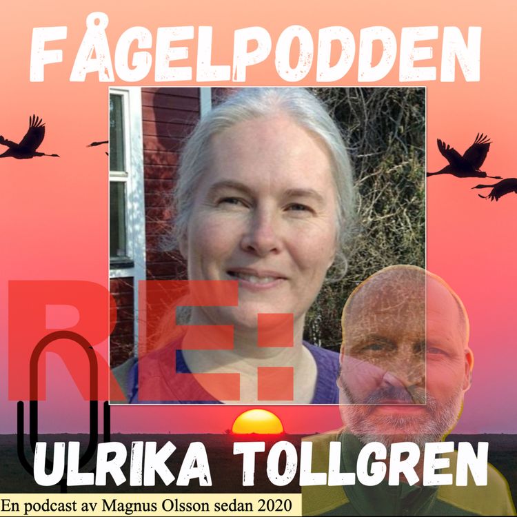cover art for Re: Ulrika Tollgren