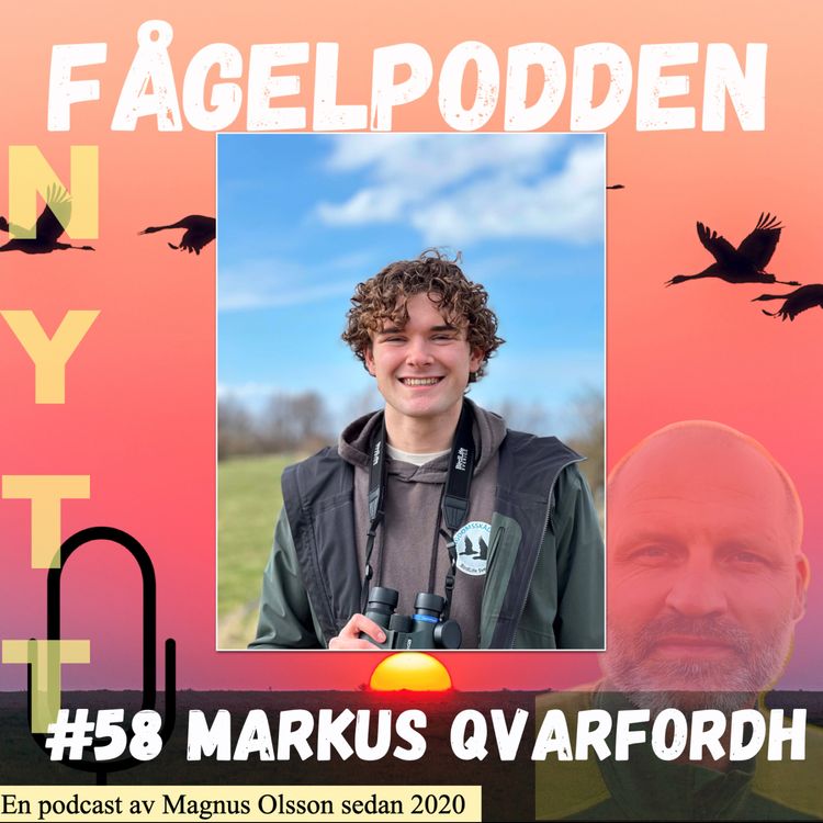 cover art for Markus Qvarfordh