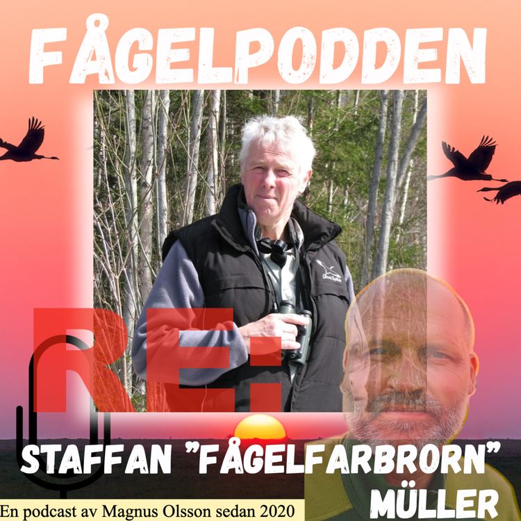 cover art for Re: Staffan "Fågelfarbrorn" Müller