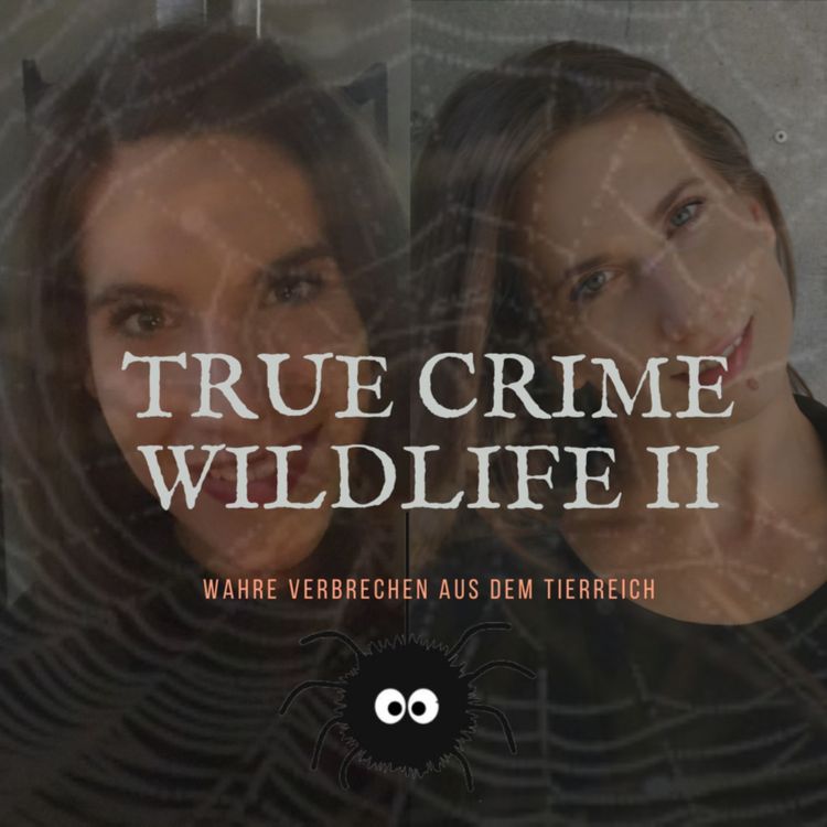 cover art for #7 Zeugenschutzprogramm + Inspektor Hirsch