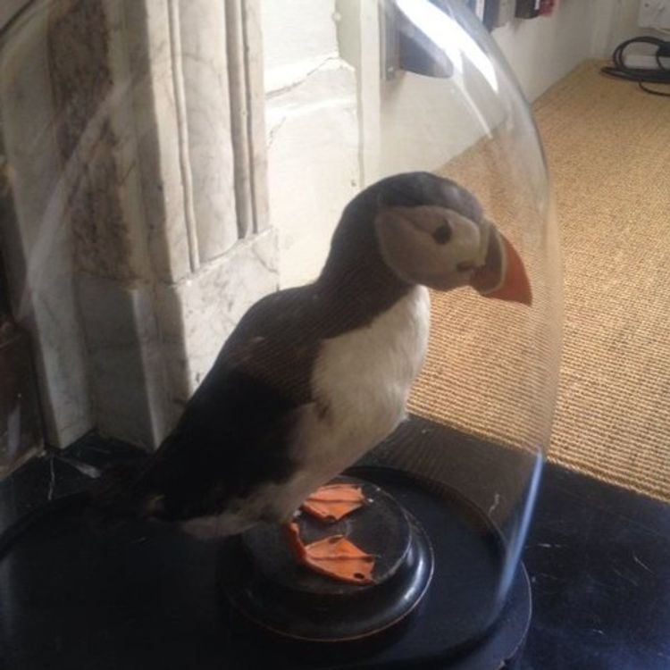 cover art for All the Devils Are Here by David Seabrook