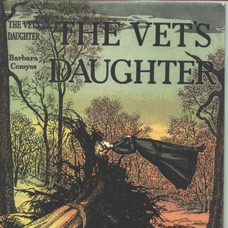 cover art for The Vet's Daughter by Barbara Comyns